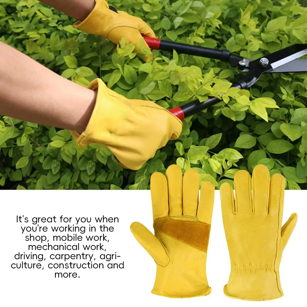 Sarung Tangan Kulit Anti Selip - Leather Driving Glove ulasan dan harga
